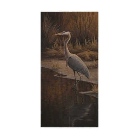Wilhelm Goebel 'Heron Wading' Canvas Art,16x32